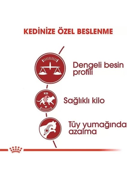 Fit 32 Yetişkin Kedi Maması 4 kg