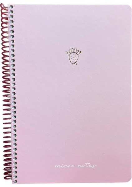 Mıcro Notes Spiralli Sert Kapak 17X24 100YP. Çizgili 2'li fırsatları