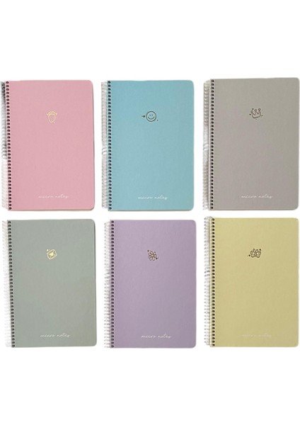 Mıcro Notes Spiralli Sert Kapak 17X24 100YP ( . 1 Kareli + 1 Çizgili ) Set