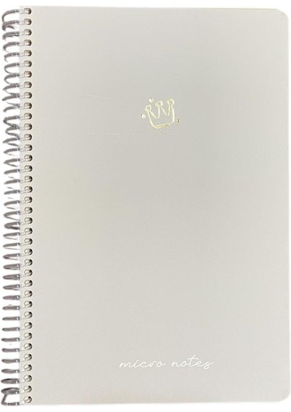 Mıcro Notes Spiralli Sert Kapak 17X24 100YP ( . 1 Kareli + 1 Çizgili ) Set fırsatları
