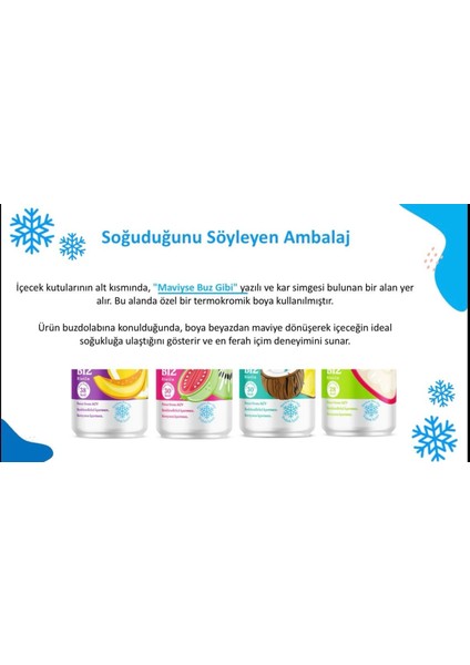 Elmalı Sirkeli Gazlı Içecek 250 ml x 12 Adet (Koli)