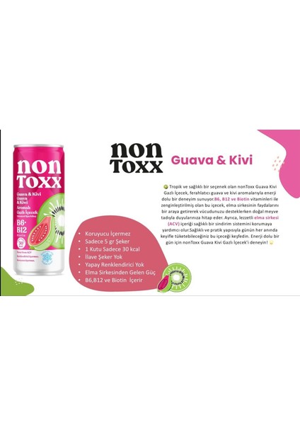 Guava & Kivi Aromalı Sirkeli Gazlı Içecek 250 ml x 12 Adet (Koli)
