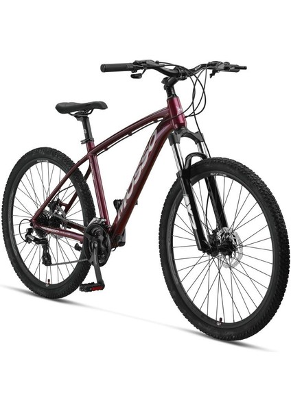 Raceline 27 Jant 18K H.disk 24V Dağ Bisikleti Bordo Gri fiyatları