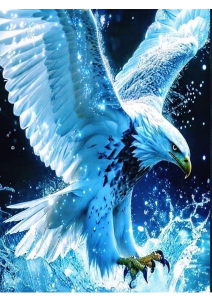 Araç Kapı Direk Kaplama Folyosu + Aparat (Sağ Sol Takım) (2 Adet)