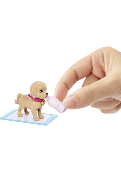 HKD86 Barbie ve Köpekçikleri Oyun Seti modelleri