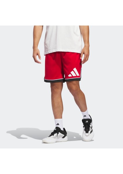 JN4731 Bos Short Erkek Şort
