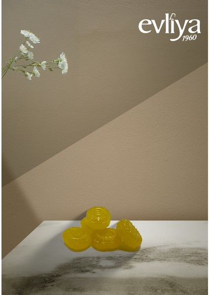Lemon Sert Şeker 350 gr fiyatları