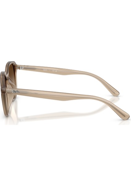 Rb 4459D 616613 54 Ray-Ban Güneş Gözlüğü