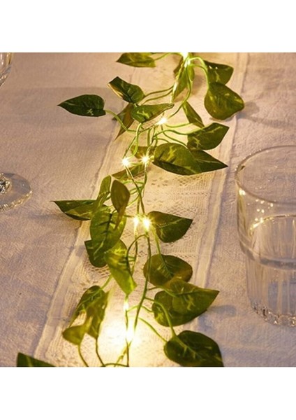 Dekoratif Yeşil Yapraklı Yapay 230 cm Sarmaşık ve 3mt Peri LED Gün Işığı