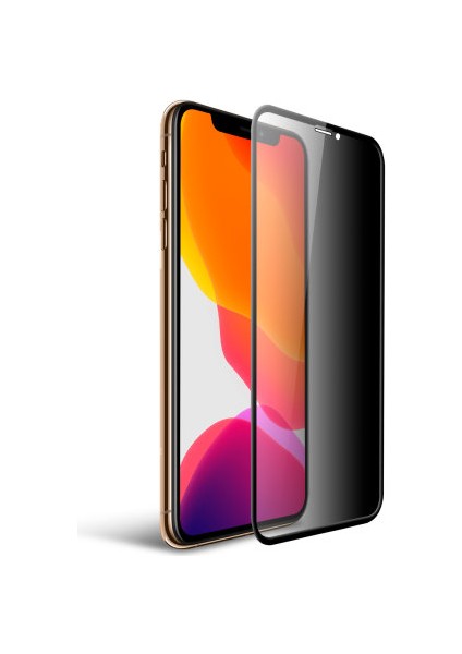 Apple iPhone Uyumlu 13 Pro Max Gizli Hayalet 5d Cam Ekran Koruyucu