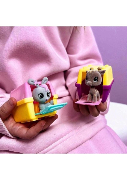 House Pets Evcil Hayvan Sürpriz Paket
