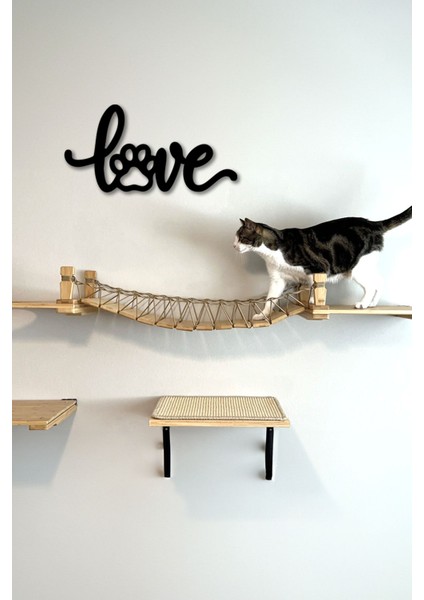 Love-Pati Temalı Dekoratif Tablo