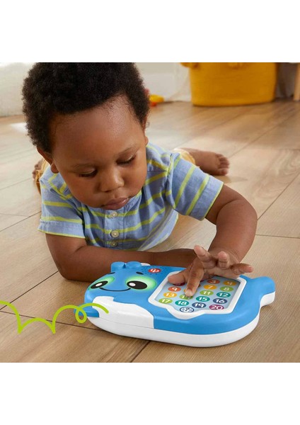 Fisher Price Linkimals Sayı Sayan Balina HJR72