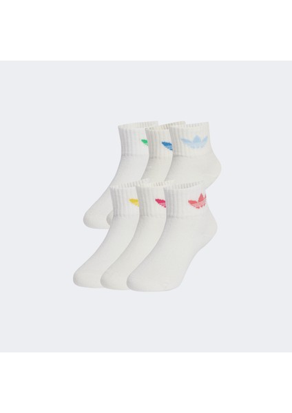 Ankle.-