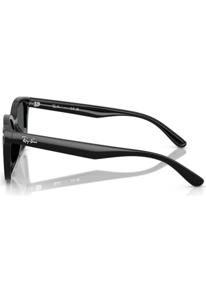 Rb 4461D 601/87 64 Ray-Ban Güneş Gözlüğü
