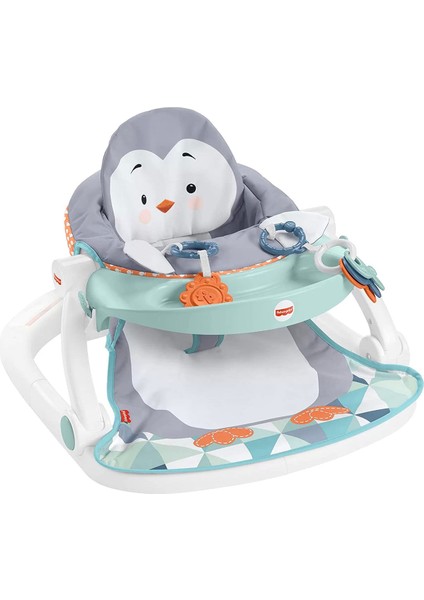 Fisher Price Tepsili Ana Kucağı HBF27
