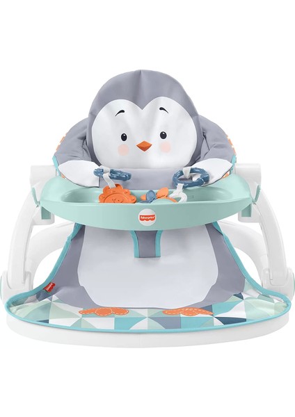Fisher Price Tepsili Ana Kucağı HBF27
