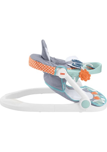 Fisher Price Tepsili Ana Kucağı HBF27