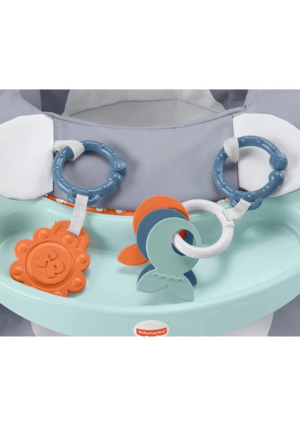 Fisher Price Tepsili Ana Kucağı HBF27