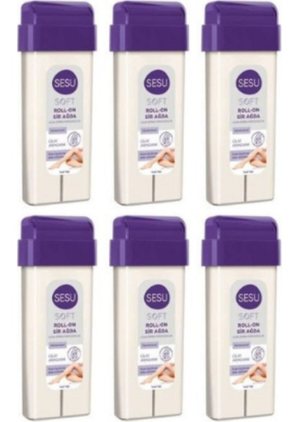 Roll On Sir Ağda Soft 100 ml 6 Adet Li Paket