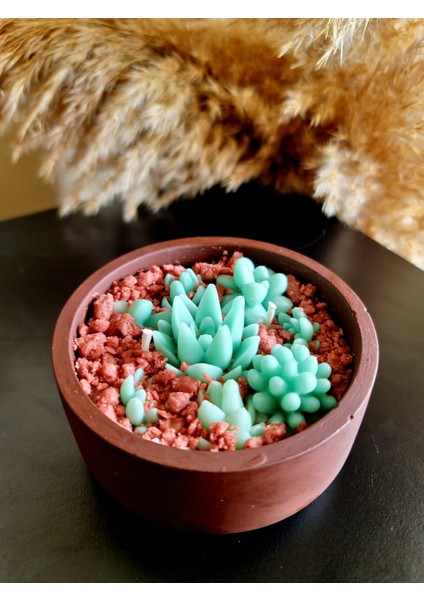 Kahverengi Kaktüs Mum & Teraryum Soya Wax Mum Yeşil