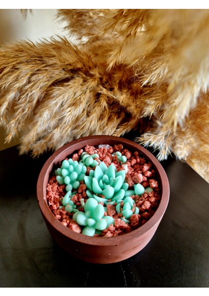 Kahverengi Kaktüs Mum & Teraryum Soya Wax Mum Yeşil fiyatları