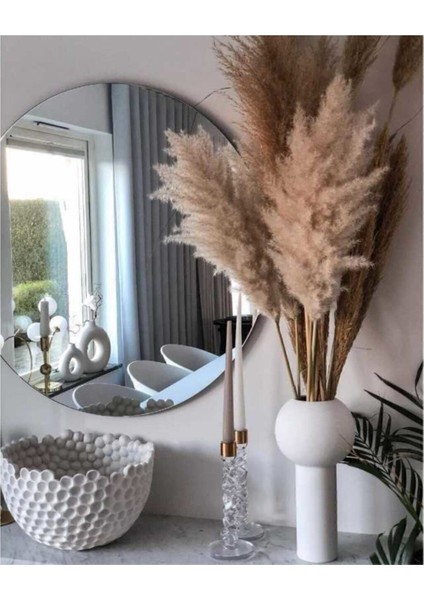 10 Adet Beyaz Pampas Otu, 50 cm, Zarif ve Şık Dekorasyon Malzemesi