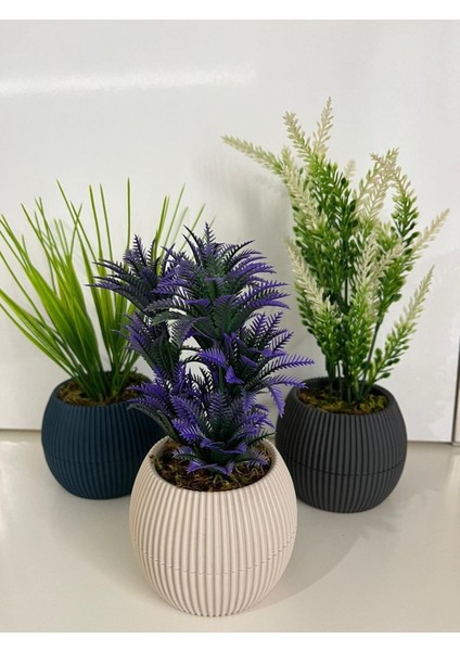 Mini 3'lü Set, Renkli Yosun ve Çiçekli Aranjman, Hediye Paketi