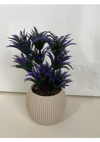 Mini 3'lü Set, Renkli Yosun ve Çiçekli Aranjman, Hediye Paketi modelleri