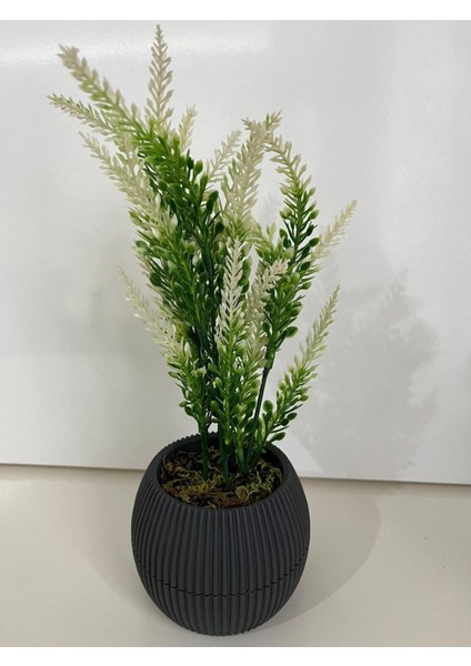 Mini 3'lü Set, Renkli Yosun ve Çiçekli Aranjman, Hediye Paketi fırsatları