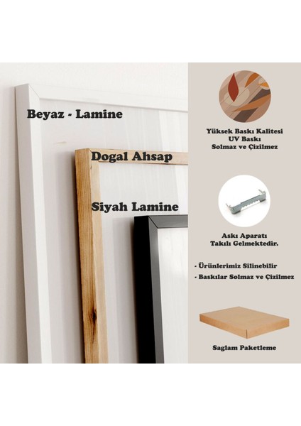 Çerçeveli Tablo 3 Parça Tablo Modelleri