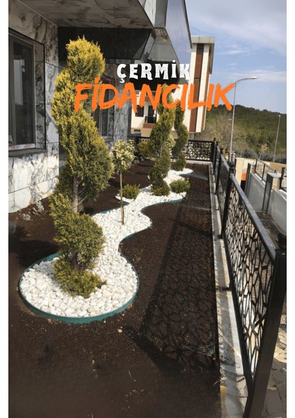 Beyaz Dolomit Taş 5 kg 4-6 cm Çakıl Taşı Bahçe Peysaj Süs Taşı