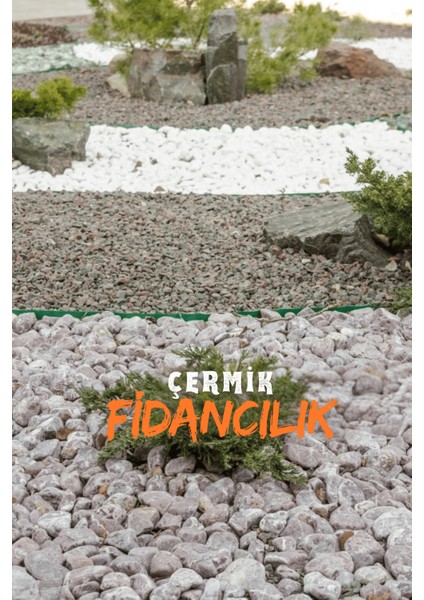 Beyaz Dolomit Taş 5 kg 4-6 cm Çakıl Taşı Bahçe Peysaj Süs Taşı