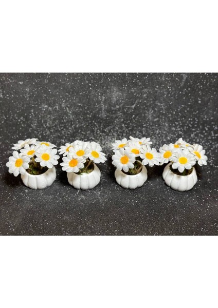 4 Adet Mini Kabak Saksılı Yapay Papatyalı Çiçek Dekoratif Kahve Yanı Sunumluk Obje
