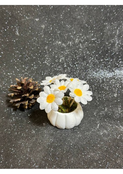 4 Adet Mini Kabak Saksılı Yapay Papatyalı Çiçek Dekoratif Kahve Yanı Sunumluk Obje