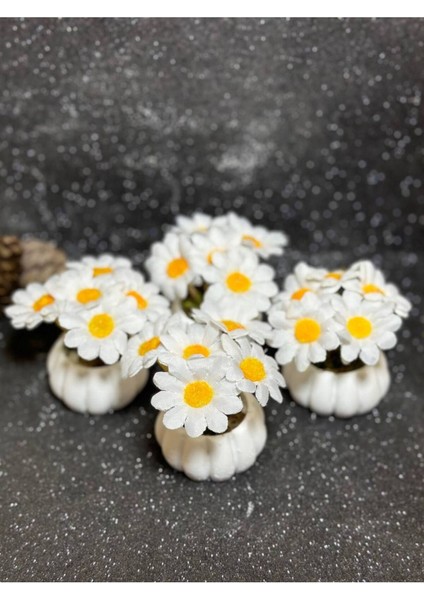 4 Adet Mini Kabak Saksılı Yapay Papatyalı Çiçek Dekoratif Kahve Yanı Sunumluk Obje
