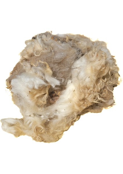 Yıkanmamış Saf Koyun Yünü Yapağı 250gr fırsatları