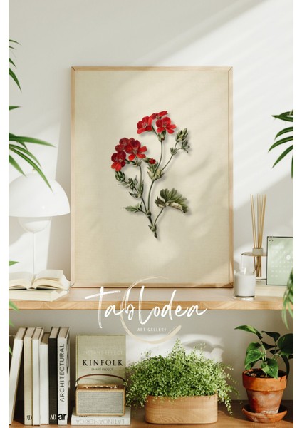 Vintage Çiçekli Çerçeveli Poster Tablo, Modern Dekoratif Çiçek Tablo, Çiçekli Pinterest Tablo