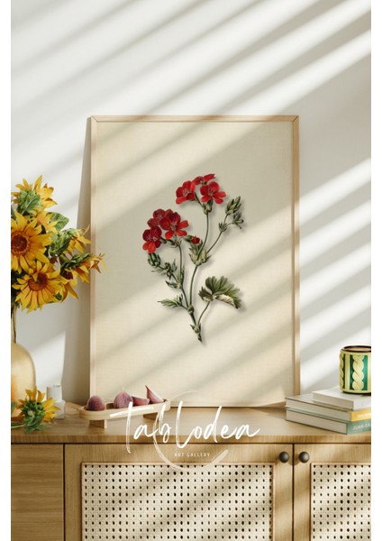 Vintage Çiçekli Çerçeveli Poster Tablo, Modern Dekoratif Çiçek Tablo, Çiçekli Pinterest Tablo