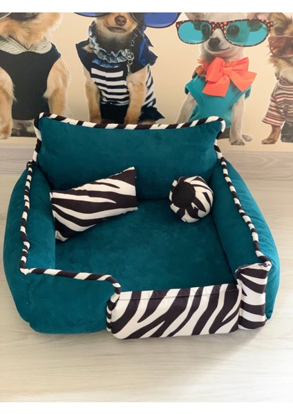 Kedi Köpek Yatağı Sünger Kılıflı Fermuarlı 50x50x17 cm modelleri