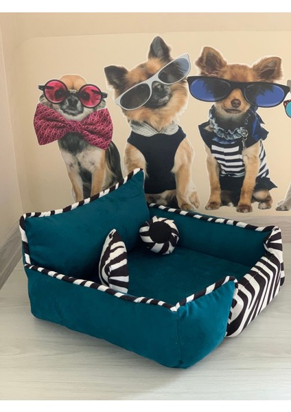 Kedi Köpek Yatağı Sünger Kılıflı Fermuarlı 50x50x17 cm fırsatları