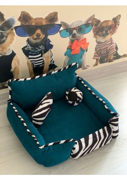 Kedi Köpek Yatağı Sünger Kılıflı Fermuarlı 50x50x17 cm indirimleri