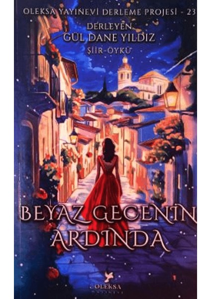 Beyaz Gecenin Ardında