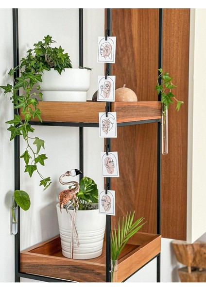 Mıknatıslı Dekoratif Cam Vazo Bitki Köklendirme Için Minimal Buzdolabı Mini Vazo Saksı 2'li 16 cm