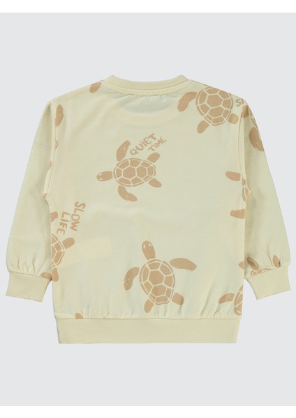 Erkek Çocuk Sweatshirt 2-5 Yaş Fil Dişi