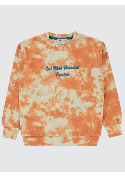 Erkek Çocuk Sweatshirt 6-9 Yaş Fil Dişi