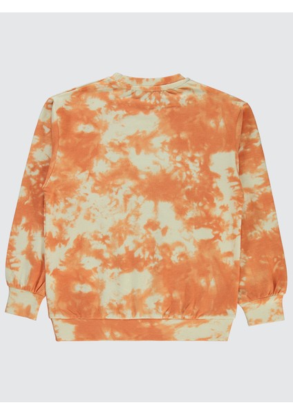 Erkek Çocuk Sweatshirt 6-9 Yaş Fil Dişi fiyatları