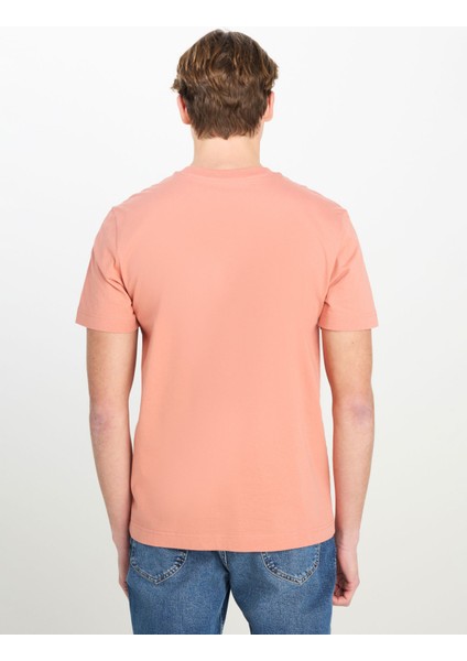 Bisiklet Yaka Somon Erkek T-Shirt ML60UFQUK Regular Fit Patch Logo indirimleri