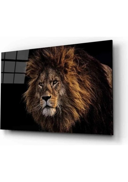 Aslan 20 Hayvan Cam Tablo