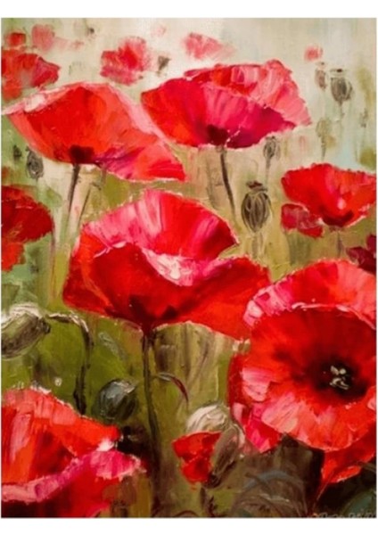 Kanvas Gelincik Tarlası Sayılarla Boyama Seti Kasnaklı